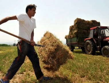 Αγρότες θα λάβουν οικονομική ενίσχυση ύψους 14.000 ευρώ - Δείτε ποιοι είναι δικαιούχοι